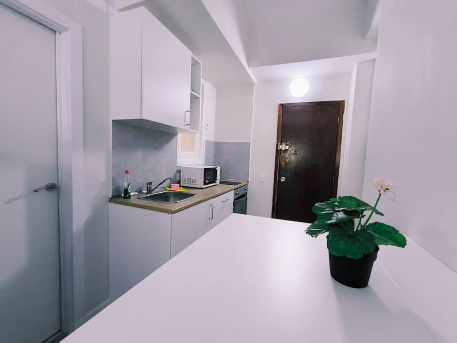 Apartamentos Carrillo 7 Santa Cruz de Tenerife Esterno foto